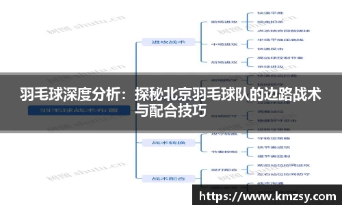 羽毛球深度分析：探秘北京羽毛球队的边路战术与配合技巧