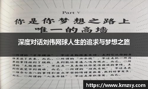 深度对话刘伟网球人生的追求与梦想之路